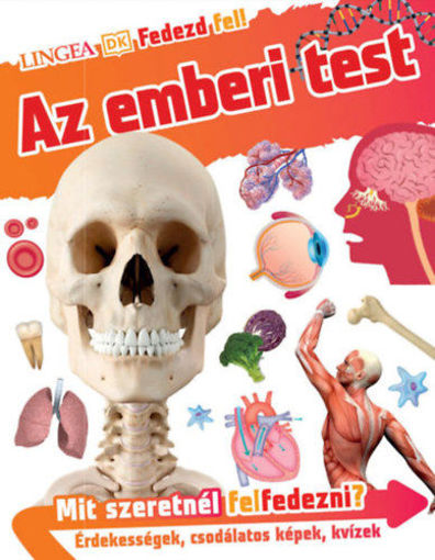 Fedezd fel! - Az emberi test termékhez kapcsolódó kép
