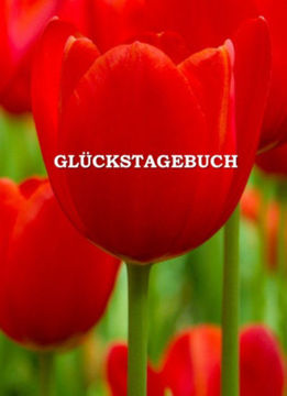 Glückstagebuch - puha kötés termékhez kapcsolódó kép