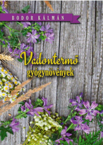 Vadon termő gyógynövények termékhez kapcsolódó kép
