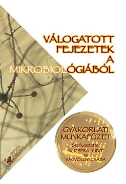 Új rajziskola termékhez kapcsolódó kép