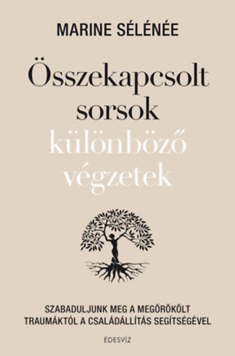 Összekapcsolt sorsok különböző végzetek - Szabaduljunk meg a megörökölt traumáktól a családállítás segítségével termékhez kapcsolódó kép