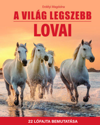 A világ legszebb lovai - 22 lófajta bemutatása termékhez kapcsolódó kép