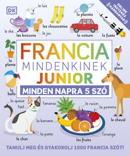 Francia mindenkinek - Junior - Minden napra 5 szó termékhez kapcsolódó kép