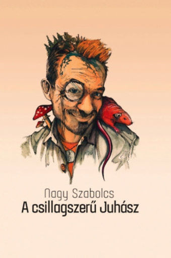A csillagszerű Juhász termékhez kapcsolódó kép