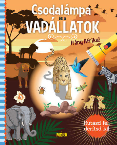 Csodalámpa és a vadállatok - Irány Afrika! - Kutasd fel, derítsd ki! termékhez kapcsolódó kép