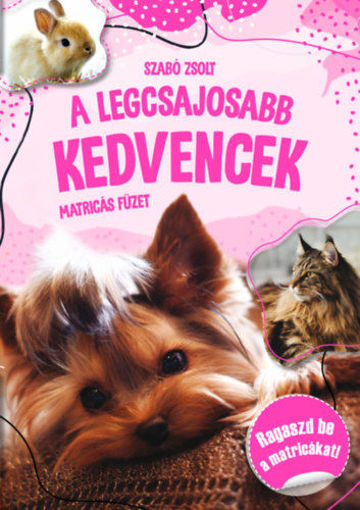 A legcsajosabb kedvencek - matricás füzet termékhez kapcsolódó kép