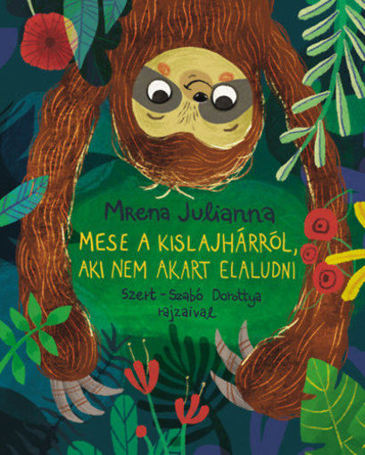 Mese a kis lajhárról, aki nem akart elaludni termékhez kapcsolódó kép