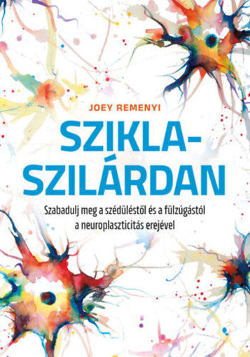 Sziklaszilárdan - Szabadulj meg a szédüléstől és a fülzúgástól a neuroplaszticitás erejével termékhez kapcsolódó kép