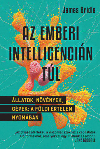 Az emberi intelligencián túl - Állatok, növények, gépek: a földi értelem nyomában termékhez kapcsolódó kép