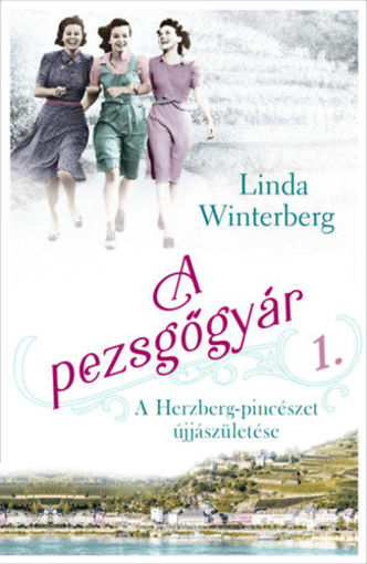 A pezsgőgyár - A Herzberg-pincészet újjászületése termékhez kapcsolódó kép