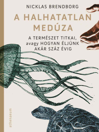A halhatatlan medúza - A természet titkai, avagy hogyan éljünk akár száz évig termékhez kapcsolódó kép