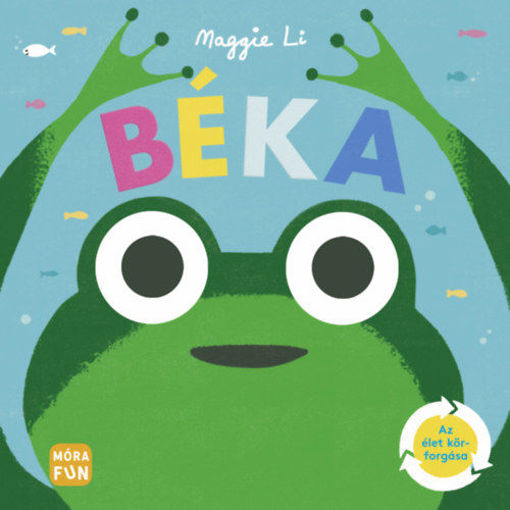 Béka - Az élet körforgása termékhez kapcsolódó kép