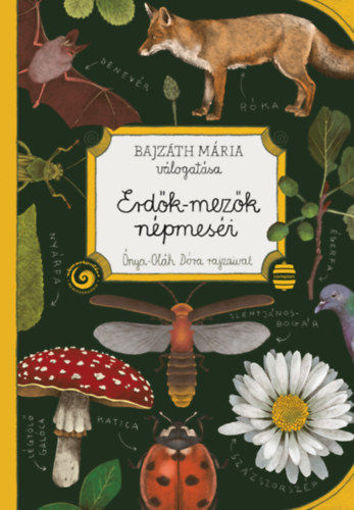 Erdők-mezők népmeséi termékhez kapcsolódó kép