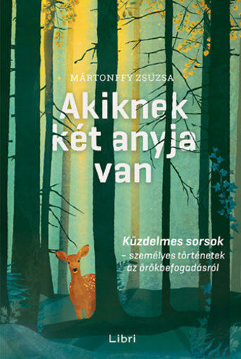 Akiknek két anyja van - Küzdelmes sorsok - személyes történetek az örökbefogadásról termékhez kapcsolódó kép