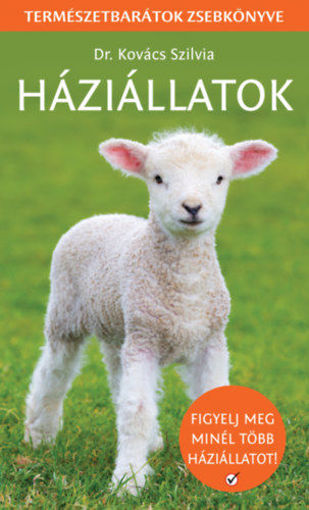 Háziállatok termékhez kapcsolódó kép