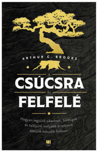 A csúcsra és felfelé termékhez kapcsolódó kép