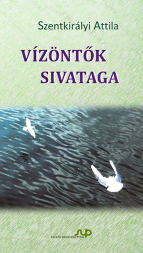 Vízöntők sivataga termékhez kapcsolódó kép