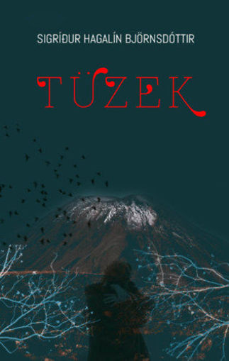 Tüzek termékhez kapcsolódó kép
