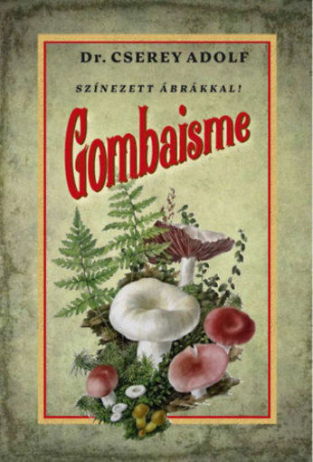 Gombaisme termékhez kapcsolódó kép