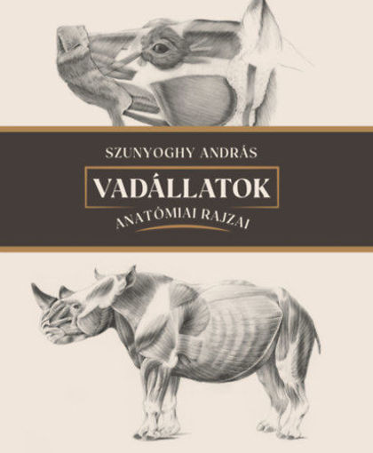 Vadállatok anatómiai rajzai termékhez kapcsolódó kép