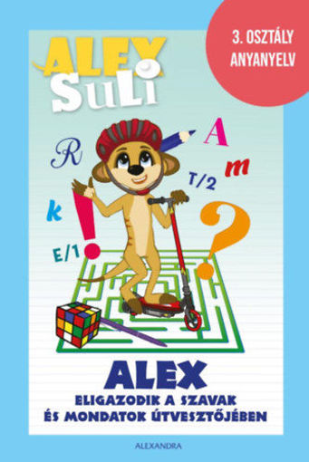 Alex Suli - Alex eligazodik a szavak és mondatok útvesztőjében - 3. osztály anyanyelv termékhez kapcsolódó kép