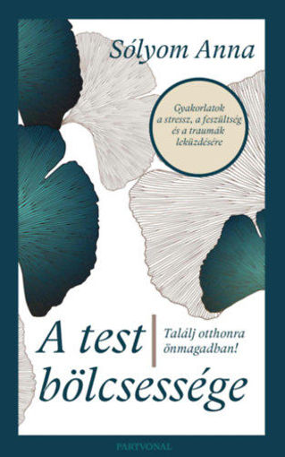 A test bölcsessége - Találj otthonra önmagadban! termékhez kapcsolódó kép