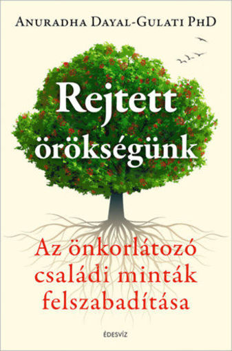 Rejtett örökségünk - Az önkorlátozó családi minták felszabadítása termékhez kapcsolódó kép