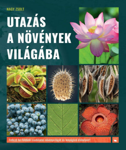 Utazás a növények világába termékhez kapcsolódó kép