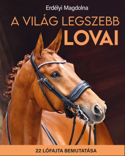 A világ legszebb lovai - 22 lófajta bemutatása termékhez kapcsolódó kép