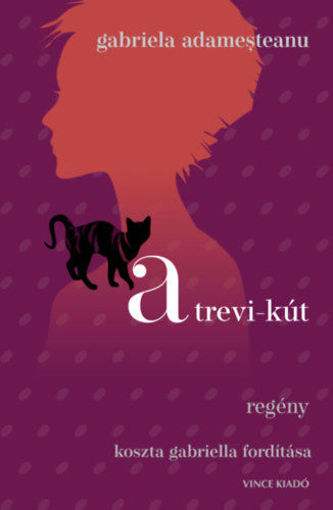 A trevi-kút termékhez kapcsolódó kép