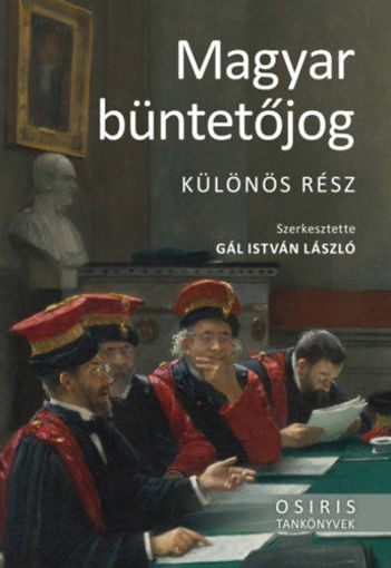 Magyar büntetőjog - Különös rész termékhez kapcsolódó kép