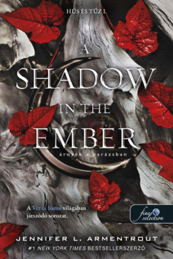 A Shadow in the Ember - Árnyék a parázsban - Hús és tűz 1. termékhez kapcsolódó kép