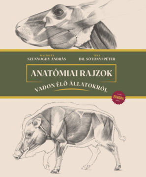 Anatómiai rajzok vadon élő állatokról - Európa termékhez kapcsolódó kép