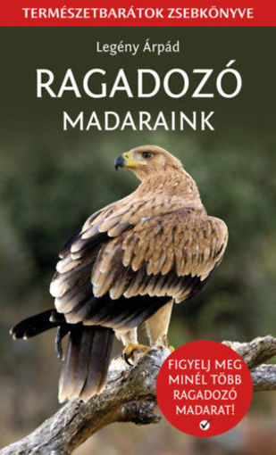 Ragadozó madaraink - Természetbarátok zsebkönyve termékhez kapcsolódó kép