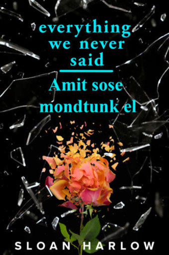 Everything We Never Said - Amit sose mondtunk el termékhez kapcsolódó kép
