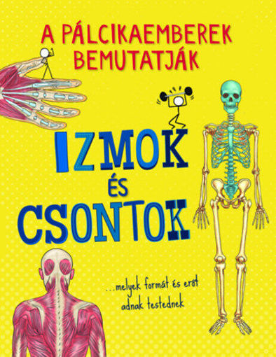 A pálcikaemberek bemutatják - Izmok és csontok termékhez kapcsolódó kép