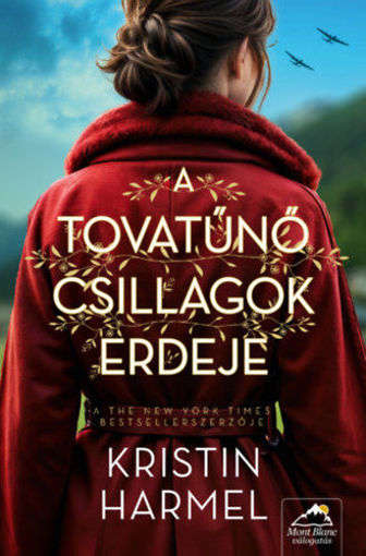 A tovatűnő csillagok erdeje termékhez kapcsolódó kép