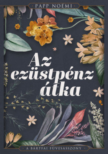 Az ezüstpénz átka termékhez kapcsolódó kép