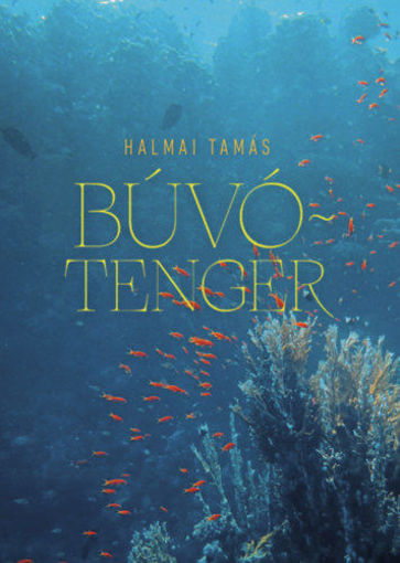 Búvótenger - Esszék, kritikák, olvasatok termékhez kapcsolódó kép