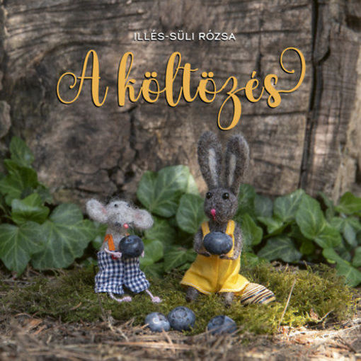 A költözés termékhez kapcsolódó kép