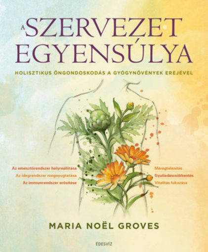 A szervezet egyensúlya - Holisztikus öngondoskodás a gyógynövények erejével termékhez kapcsolódó kép