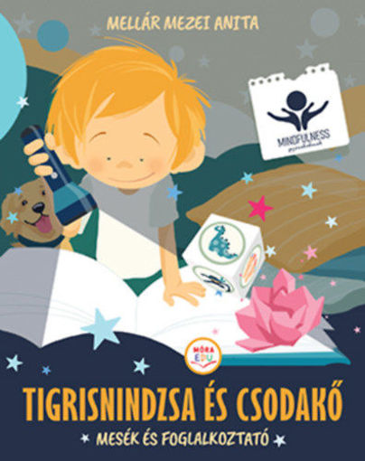 Tigrisnindzsa és csodakő - Mesék és foglalkoztató termékhez kapcsolódó kép