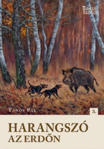 Harangszó az erdőn termékhez kapcsolódó kép