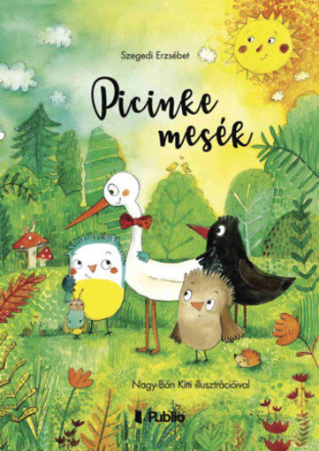 Picinke mesék termékhez kapcsolódó kép