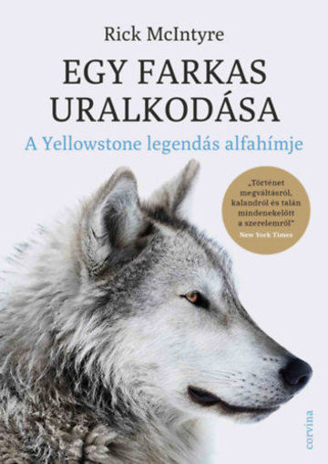 Egy farkas uralkodása - A Yellowstone legendás alfahímje termékhez kapcsolódó kép