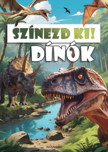 Színezd ki! - Dinók termékhez kapcsolódó kép