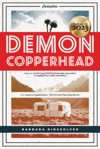 Demon Copperhead termékhez kapcsolódó kép