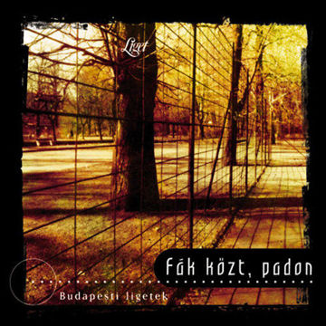 Fák közt, padon - Budapesti ligetek - Budapesti ligetek termékhez kapcsolódó kép