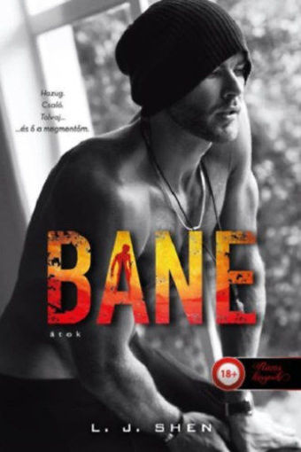Bane - Átok - Sinners of Saint 4. termékhez kapcsolódó kép