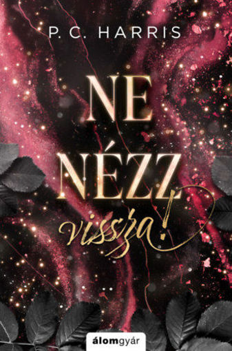 Ne nézz vissza! termékhez kapcsolódó kép